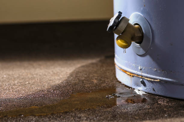Best Water damage restoration near me  in , MI