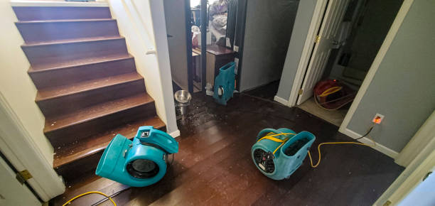 Best Water damage cleanup near me  in , MI