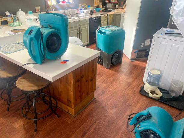 Best Flood damage cleanup  in , MI