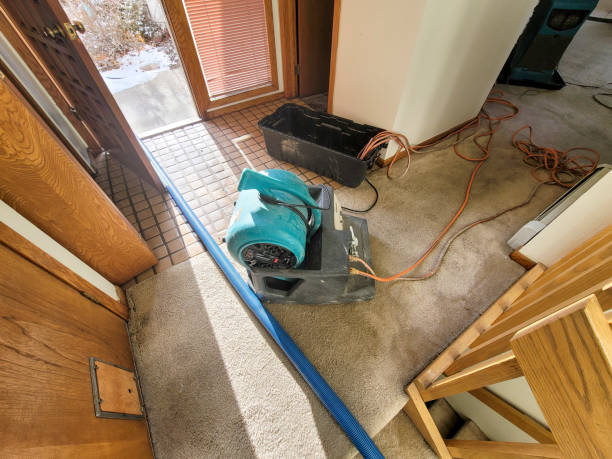 Best Professional water damage repair  in , MI