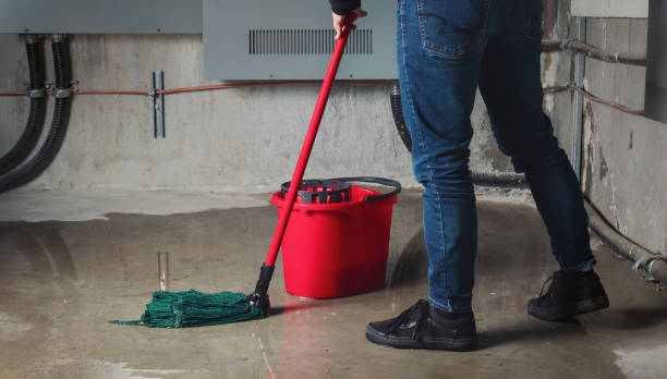 Best Emergency water damage restoration  in , MI