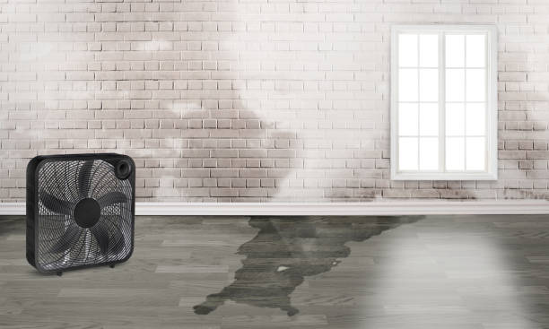 Best 24-hour water damage restoration  in , MI