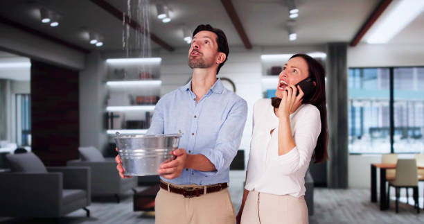 Best Mold removal after water damage  in , MI